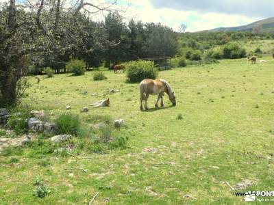 Valles del Corneja y el Tormes - Sierra de Gredos;turismo activo madrid club de montaña en madrid fo